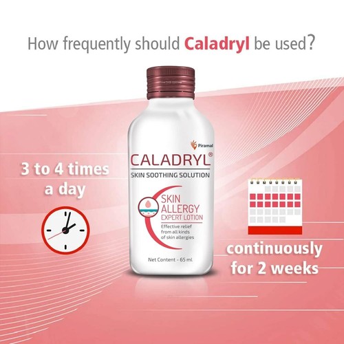 Caladryl Skin Allergy Expert Lotion-Pack of 3 (3 x 65 ml) For skin Problems - Picture 5 of 5