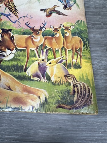 The Wonders of The Animal Kingdom (HC, 1959) Sticker Stamp Book - Bild 5 von 16