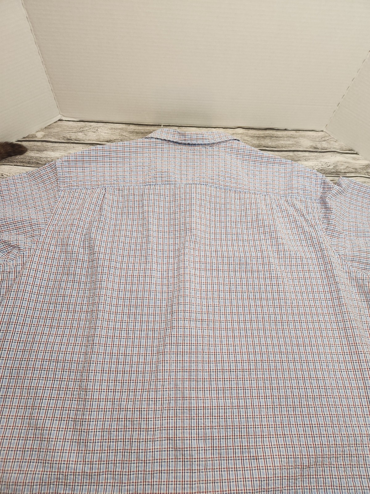Picture 6 of 6