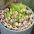 Mini Resin Pumpkins 20 Pack for Halloween Craft Decor and Dollhouse Accessories