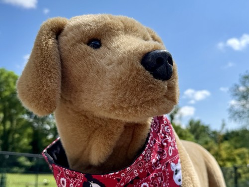Melissa & Doug Large ADORABLE Yellow Lab Life-Size Plush Dog Stuffed Animal 32" - Picture 13 of 14