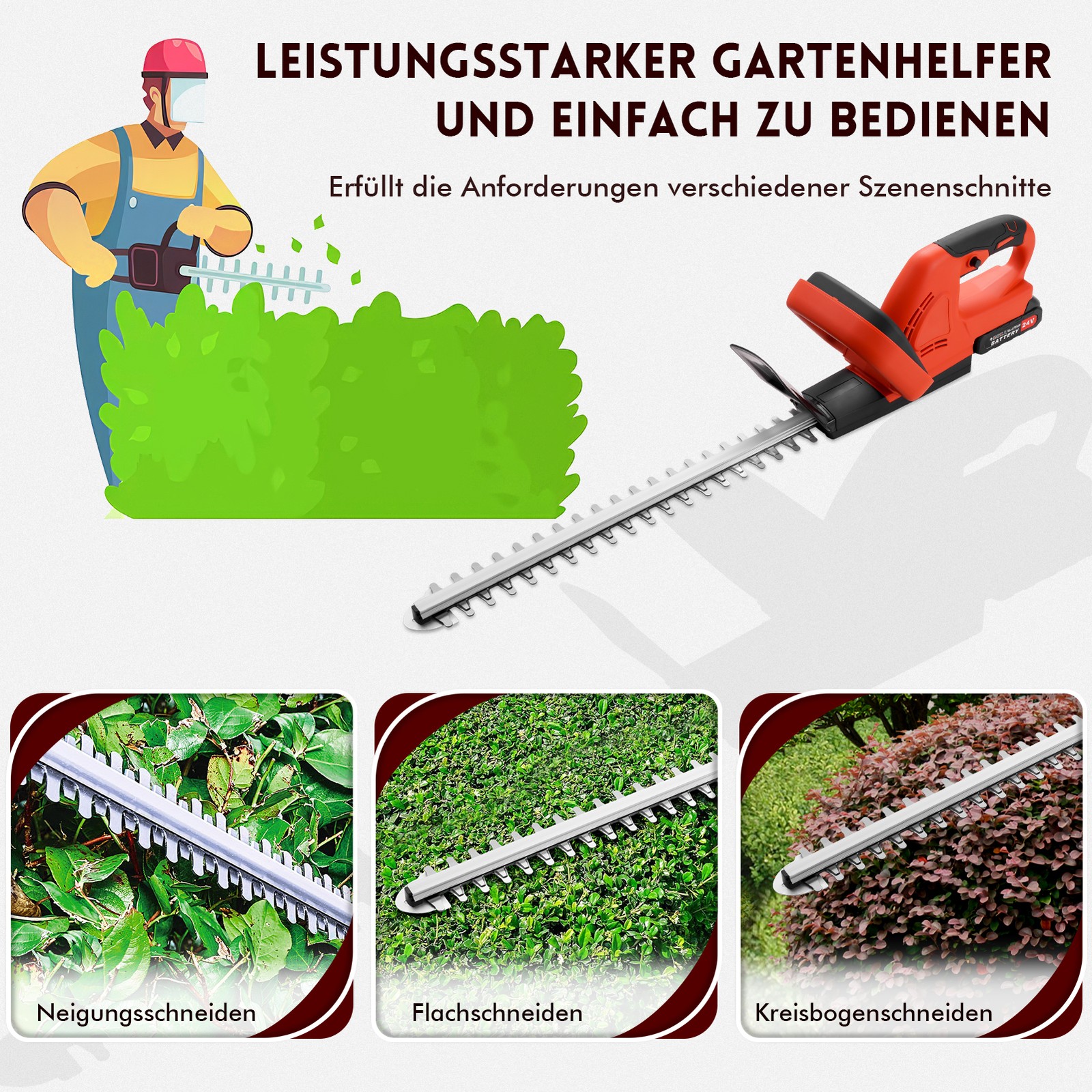 Bild 7 von 9