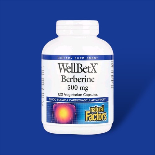 Natural Factors, WellBetX, Berberin, 500 mg, 120 vegetarische Kapseln