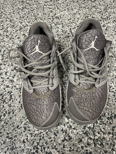 jordan trainer st g wolf grey