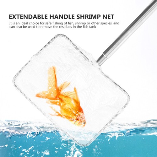 Fisch Aus Rostfreiem Kind Kleines Fischereinetz Fischernetz - Bild 10 von 12