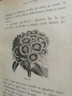 Foto 5 di 6