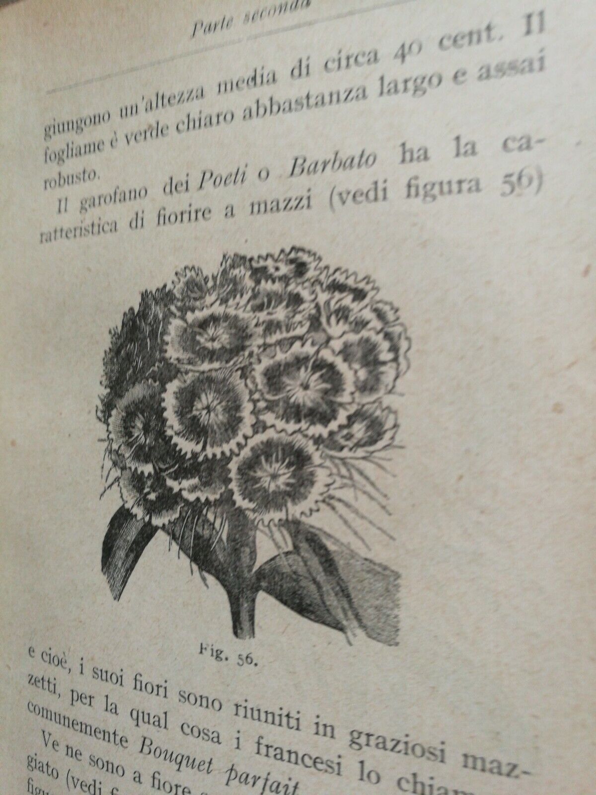 Foto 5 di 6
