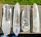 LOT OF 4 NATURAL LEMURIAN CRYSTAL QUARTZ : MOSSY , ET , DOLPHIN , PENETRATOR !