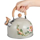  Stove Top Kettle Stainless Steel Travel Small Teapot Kitchen Water