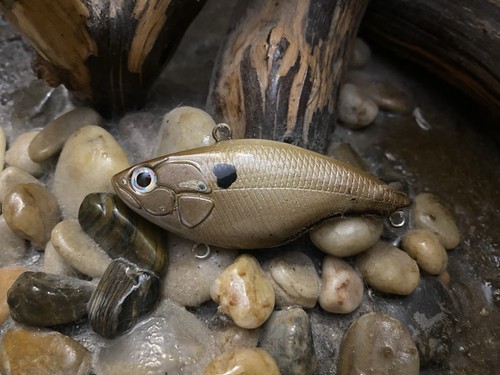 Custom painted lipless crankbait bass - Bild 3 von 4