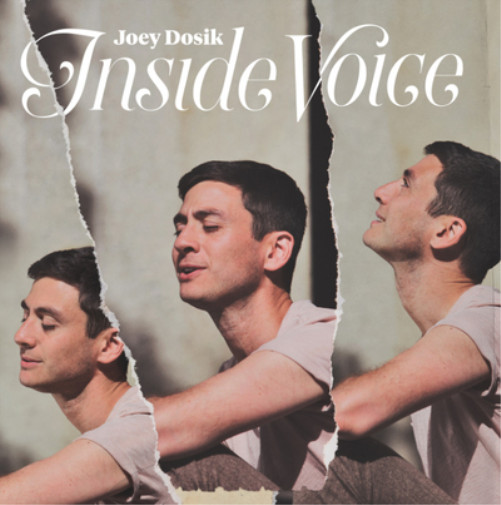 Альбом Джоуи Досика Inside Voice (CD) (ИМПОРТИРОВАН из Великобритании)