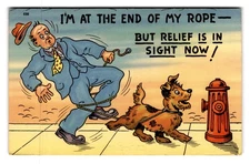 Vintage Comic Postcard Dog Leads Man to Fire Hydrant Tichnor Bros