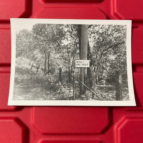 Are You A Litter Bug Schild Teil zwei Foto 4,5 x 3,25 gebraucht Vintage 1958