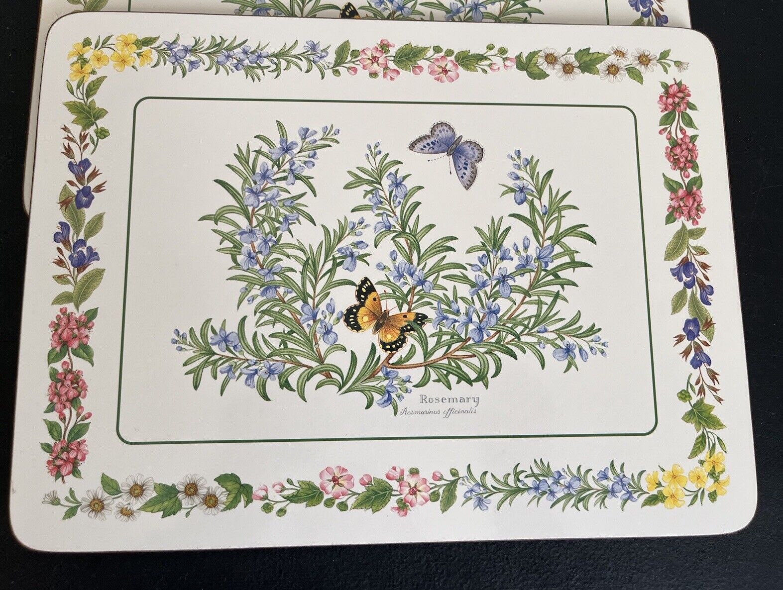 Picture 6 of 11