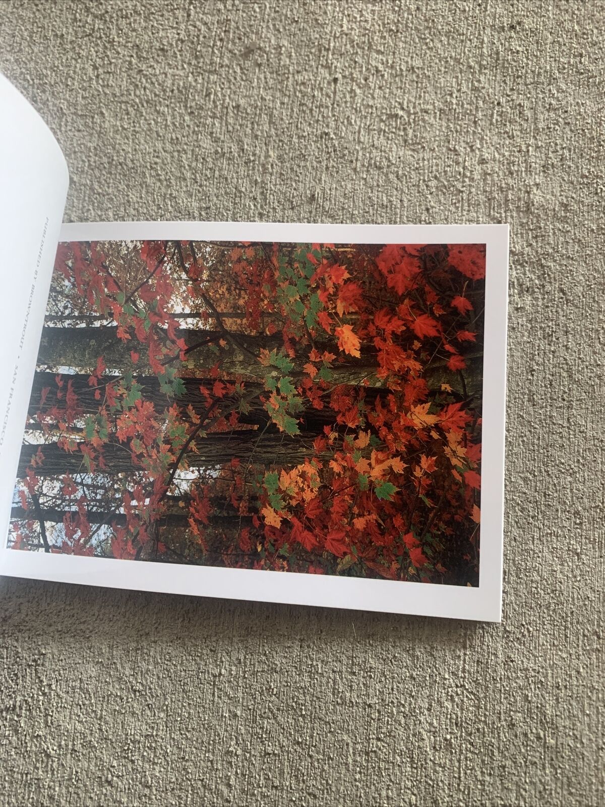 Picture 20 of 23