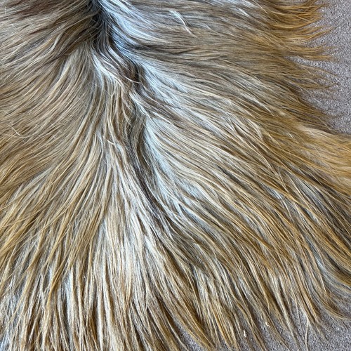 Alfombra de piel de cabra angora natural piel de cabra pelo largo piel de cabra piel de cabra piel de cabra 1x2 - Imagen 7 de 9