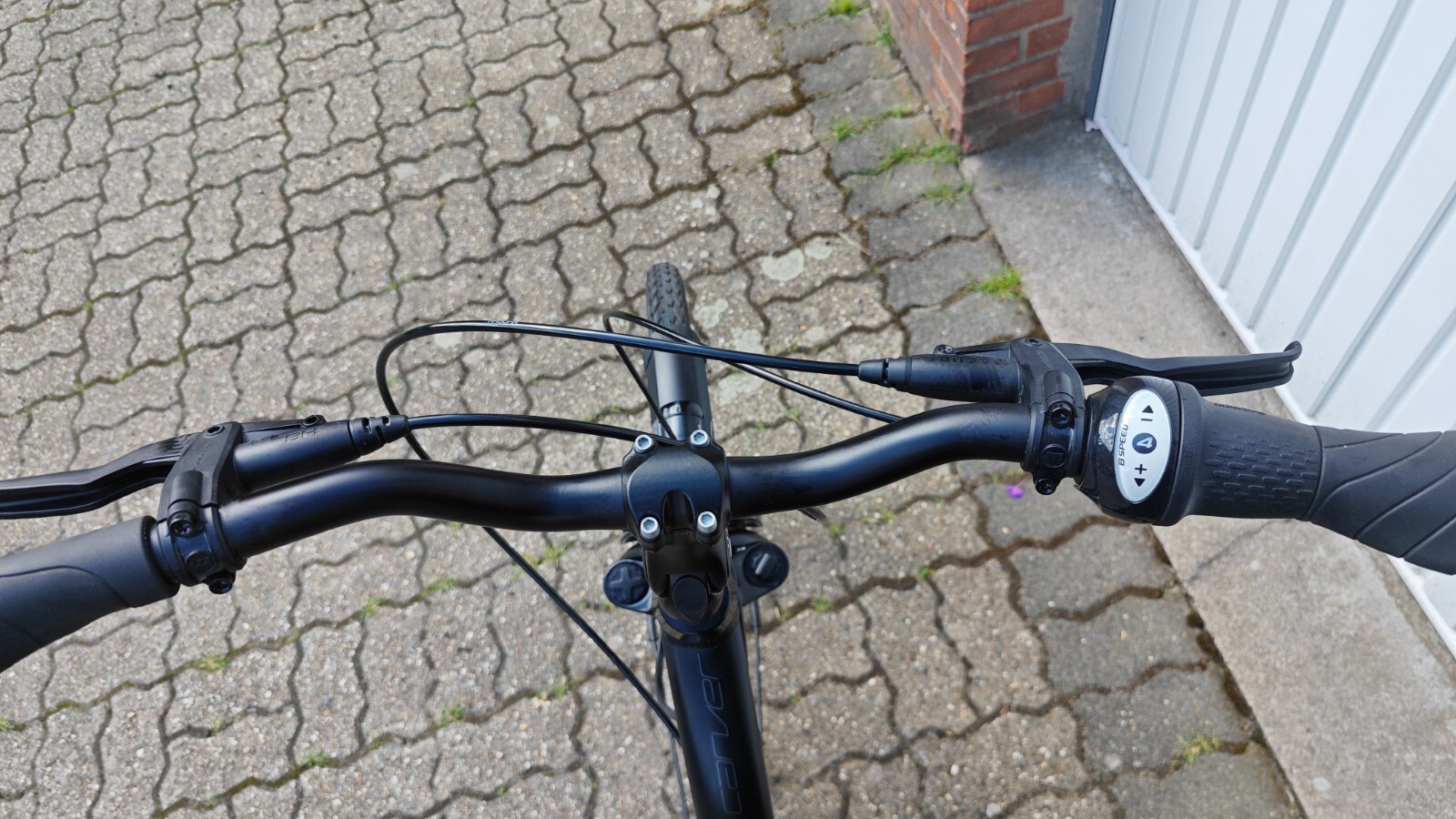 Bild 10 von 12