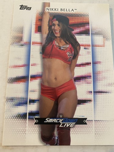 2017 Topps Nikki Bella Card#-R34. Great Card. - Picture 1 of 2