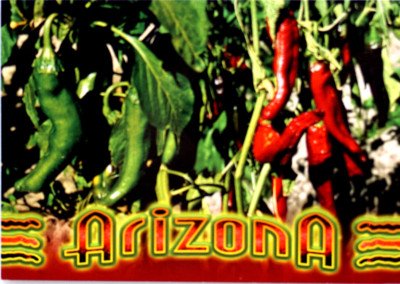 Postkarte Arizona rot grün Chilischoten Gewürz Medizin Bauernhof Dekoration Gemüse
