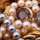 Ocean Collectables