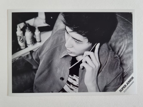 SUJU Super Junior SM Entertainment Official Photo Photocard Donghae Kyuhyun ... - Picture 3 of 142