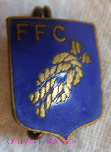 BG9136 - ABZEICHEN BADGE FRANCS & FRANCHES GENOSSEN - PFADFINDER - Bild 1 von 2