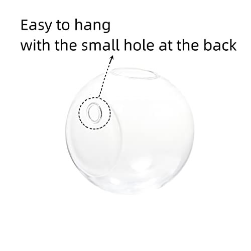 Wall Hanging Planters Terrarium Glass Air Plant Holder Pots for Plants  - Picture 7 of 7