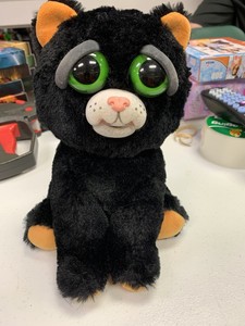 feisty pets orange cat