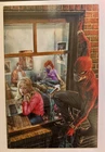 The Amazing Spider-Man #17 1:100 Incentive Virgin Variant Lee Bermejo Marvel
