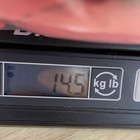 Foto 12 di 12