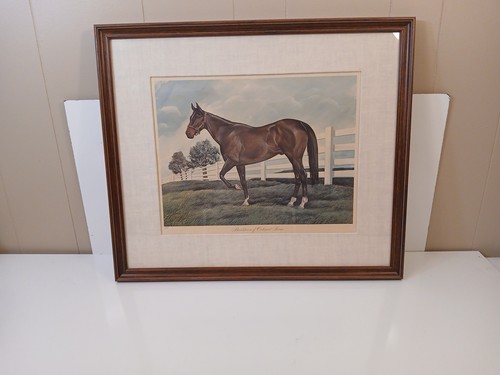 John A. Ruthven signiert nummeriert Porträt Bardstown von Calumet Farm Rennpferd... - Bild 12 von 12