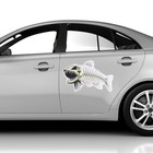  2 Pcs Skeleton Fish Sticker Decals Beautiful Decoration Car Accessories for