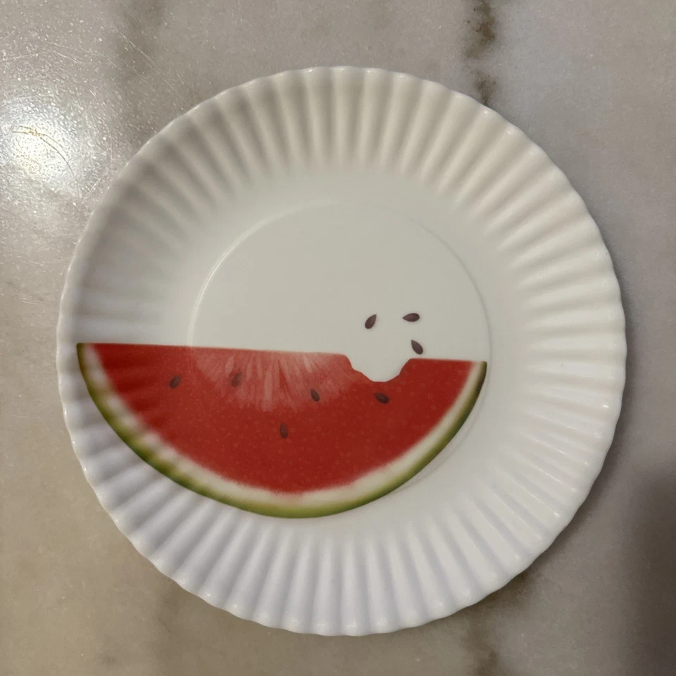 Juego de 4 platos de melamina de 9 pulgadas Mary Lake Thompson para barbacoa picnic Foto 4 de 4