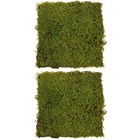  2 Pack Gras Künstlich Deko Künstliche Grasdekoration Künstlicher Rasen