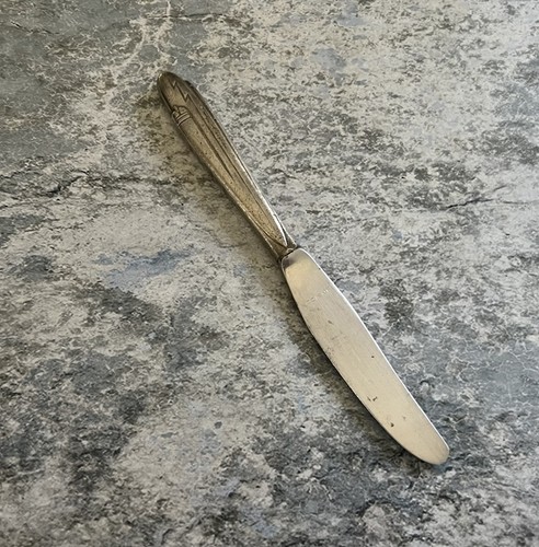 VTG American Airlines AA Flagship Butter Knife 7" Silverplate 1st Class DC-3 - 第 5/6 張圖片
