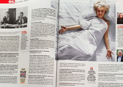 2303 RIVISTA OGGI 2022 31 MARILYN MONROE BRAD PITT FEDE PELLEGRINI MARCUZZI - Photo 5 sur 12