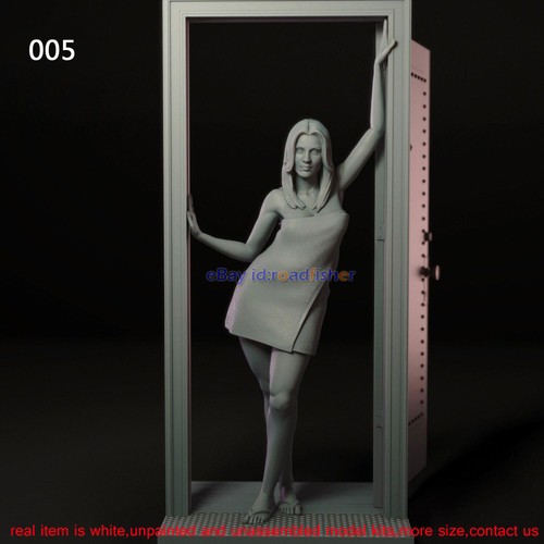 Penny 1/12 1/8 1/6 1/4 Model Kit unbemalt Garage Bausatz 3D Druck weiblich 8 Ver. - Bild 13 von 21