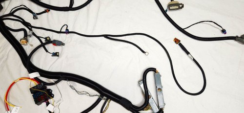 LS Harness Drive By Wire Standalone 4L60E 4.8 5.3 6.0 Blue/Green ECM DBW Gen III - Picture 10 of 11