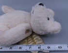 Picture 5 of 16