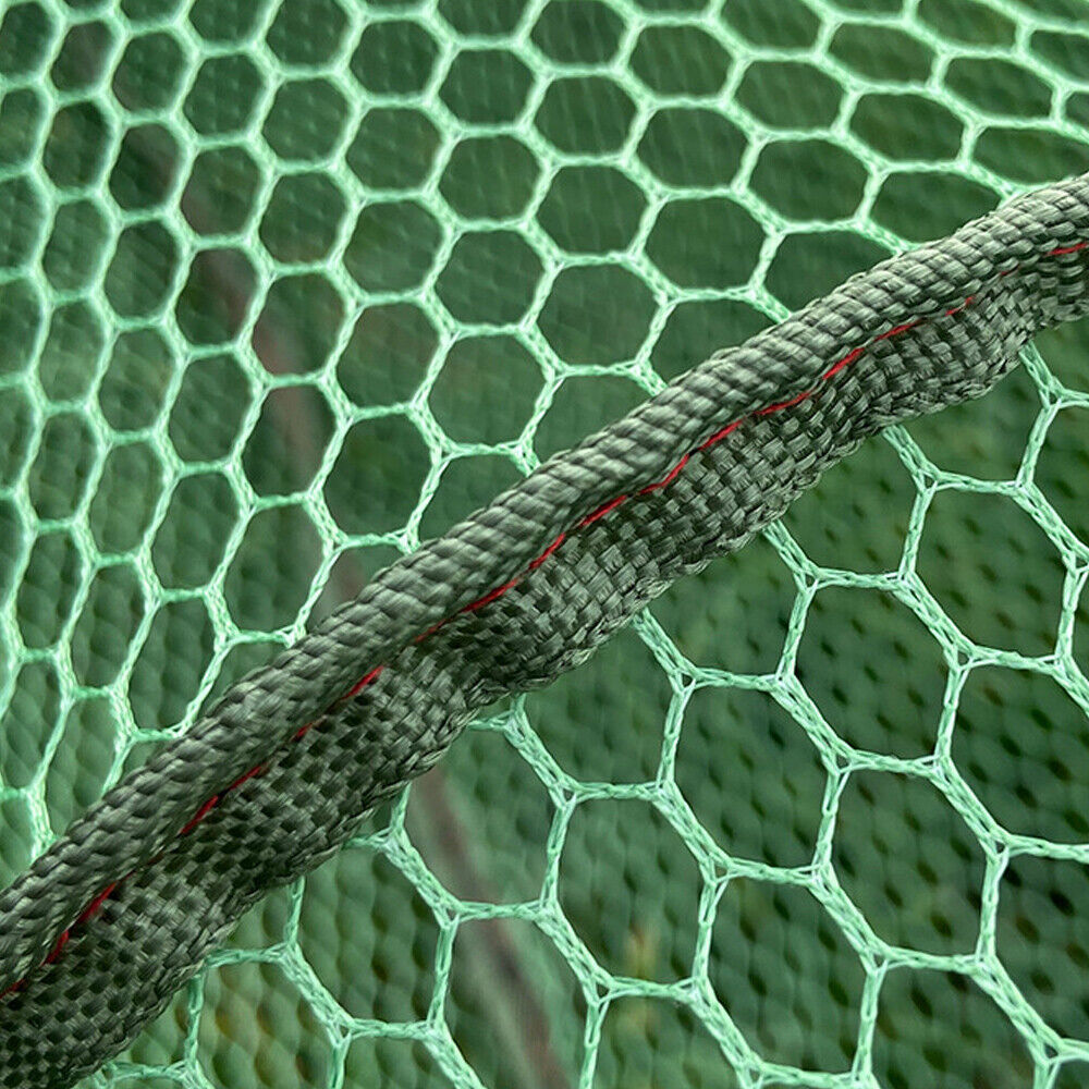 Picture 4 of 17