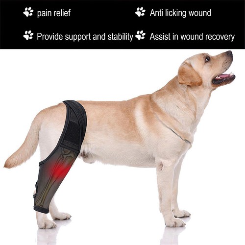Dog Knee Brace Leg Brace for Sprain ACL Arthritis Joint Pet Dog Back Leg Support - Picture 10 of 15