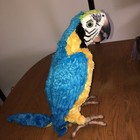 Picture 2 of 4