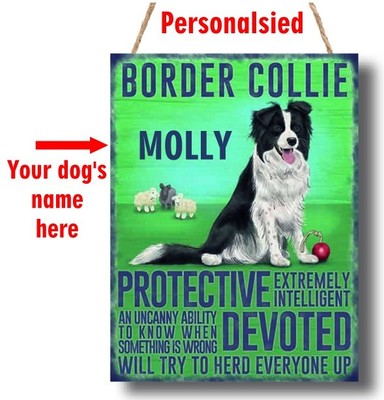 border collie supplies