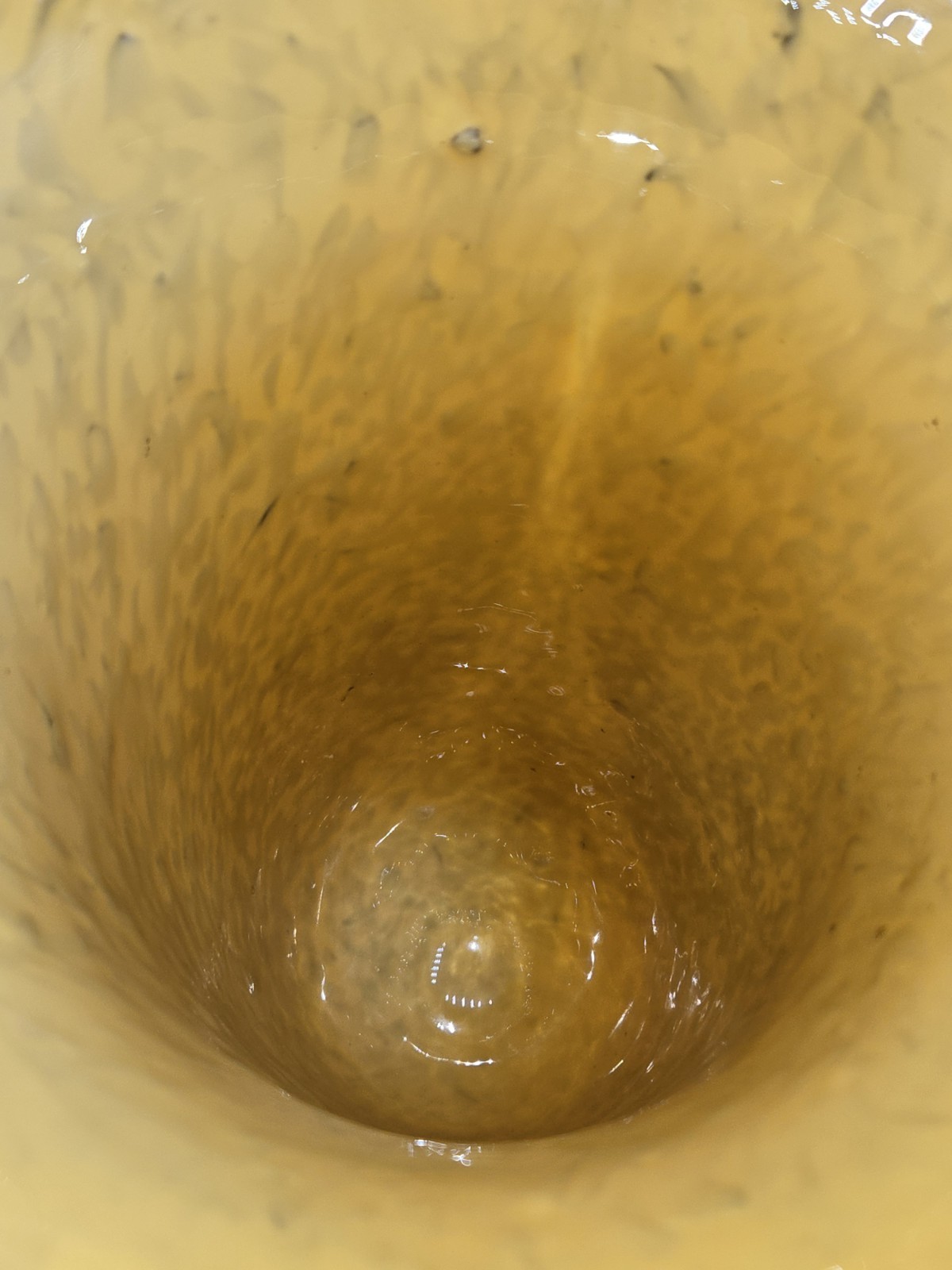 Picture 6 of 7