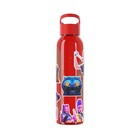 K-Pop Demon Hunters Water Bottle, Eco-Friendly Hydration, Sajaboys