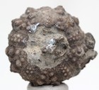 Bild 3 von 4