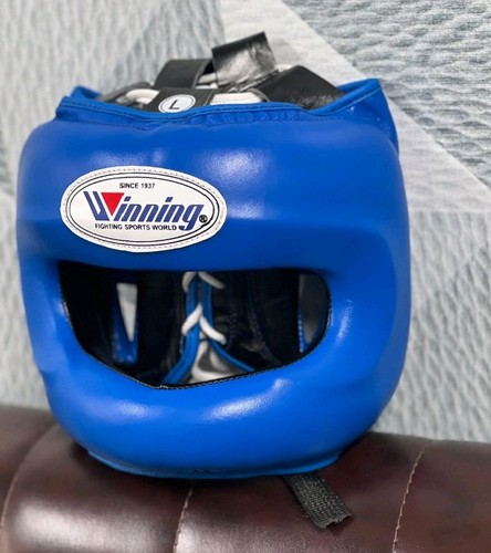 Winning Head Gear FG 5000 Boxing Head Guard Full Face Protection - Pure Leather - Picture 5 of 30