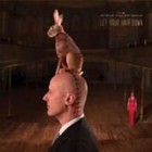 Let Your Hair Down 0016861771829 by Steve Band Miller CD
