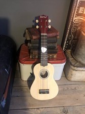 Everjoys Soprano Ukulele Beginner Pack-21 Inch w/Rainbow Strings