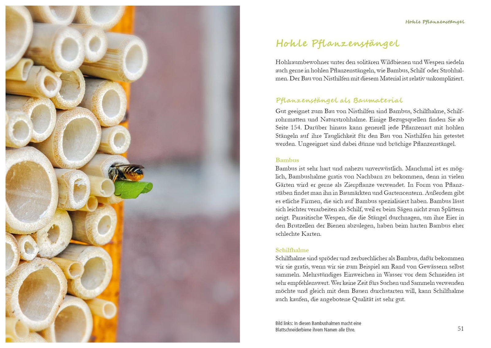 Thumbnail - Fertig Zum Einzug: Nisthilfen Für Wildbienen Werner David Buch 160 S.
